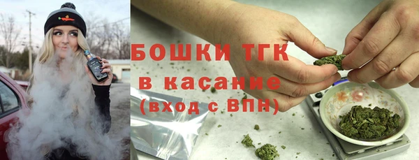мдпв Кодинск