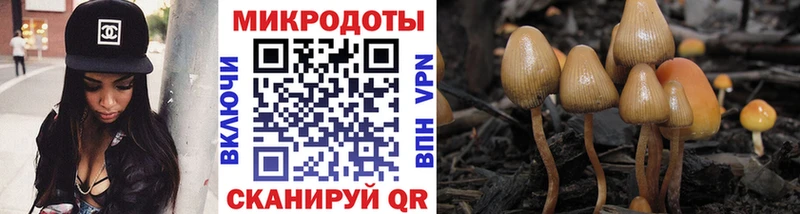 Псилоцибиновые грибы мухоморы  Купить  Минусинск 